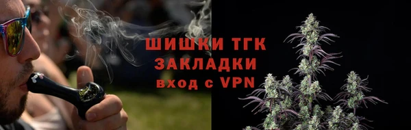 амф Кукмор