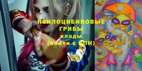 амф Кукмор