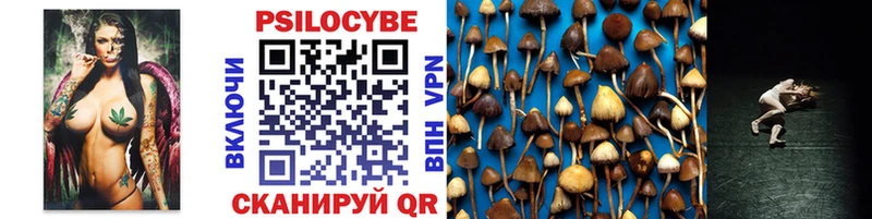 мориарти клад  Томилино  Псилоцибиновые грибы Cubensis 